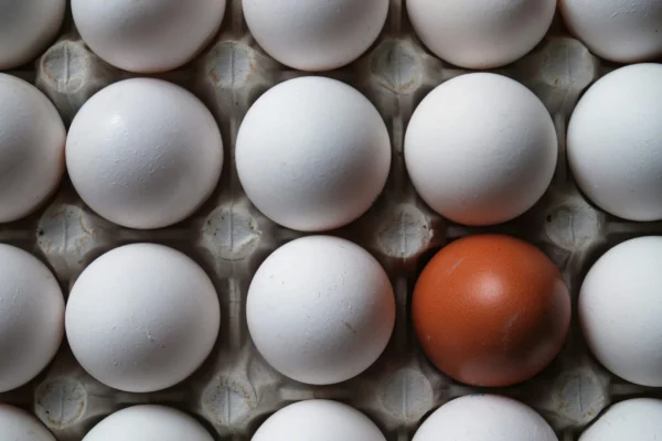 One brown egg among white eggs, representing a distinctive trade mark